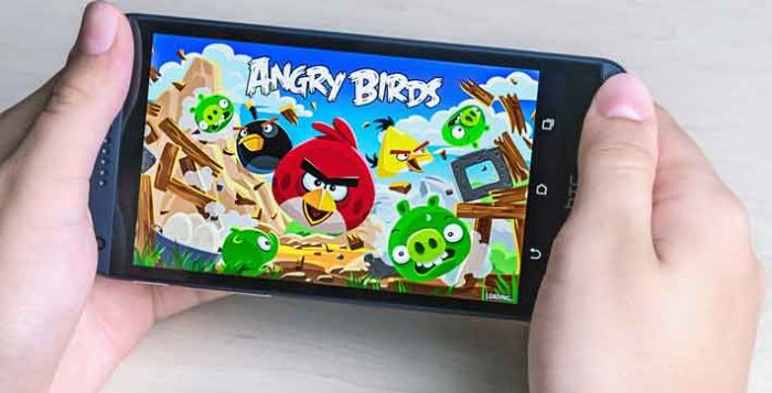 See The Angry Birds Pictures, Images, And Know Much More