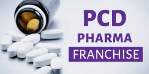 How Does PCD Pharma Companies Work