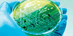 What is the Use of Biocides and What Are the Advantages