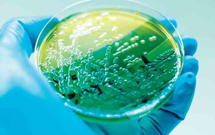 What is the Use of Biocides and What Are the Advantages